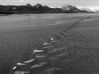 Ripples of Present Past