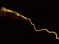 Lightning In A Bottle With lots of time and a little patience, it IS possible to capture lightning in a bottle!