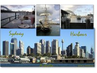Sydney Harbour I managed to share my lunch with an Aussie Seagull. It finished the cake that was on the plate (although there were a few problems with the fork). The milkshake...
