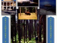 Yellowstone Park A trip to Yellowstone Park while visiting a friend in Montana (that's her with the white hat).Old Faithful (of course) is at the bottom of the card.