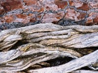 Bark Picture of a tree bark. Photo taken in Houston and is rotated by 90 degrees.