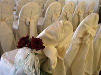 Bows and Roses Bows and Roses. Taken at a friends wedding