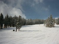 Snow Times Blue Sky, Green Trees, White Space. Taken on a Colorado ski trip, with a disposable camera (so sorry for the image quality).