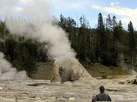 A Geezer's Geyser Taken at Yellowstone Park.